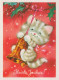 KATZE MIEZEKATZE Tier Vintage Ansichtskarte Postkarte CPSM #PBQ792.A - Katzen
