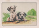 PERRO Animales Vintage Tarjeta Postal CPSM #PBQ589.A - Dogs