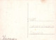 PERRO Animales Vintage Tarjeta Postal CPSM #PBQ589.A - Hunde