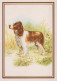 PERRO Animales Vintage Tarjeta Postal CPSM #PBQ374.A - Honden