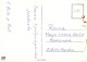 NIÑOS Escenas Paisajes Vintage Tarjeta Postal CPSM #PBU573.A - Scènes & Paysages