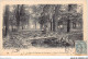 AGQP8-0610-92 - Le Bois De BOULOGNE En Automne - Vers Le Palmarium  - Boulogne Billancourt