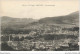 ALDP1-88-0060 - SAINT-DIE - Vue Panoramique - Saint Die