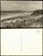 Ansichtskarte Weißenhaus Strand (Küste) Ostsee 1960 - Other & Unclassified