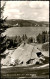 Ansichtskarte Titisee Beim Seehäusle 1963 - Other & Unclassified