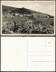 Ansichtskarte Gleisweiler-Edenkoben Annakapelle, Stadt, Weinberg 1932 - Edenkoben