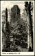 Ansichtskarte Schotten (Vogelsberg) Taufstein In Vogelsberg, 774 M ü. M. 1955 - Autres & Non Classés