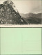 Ansichtskarte .Schweiz ROCHERS DE NAYE Berg Landschaft 1910 - Otros & Sin Clasificación