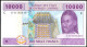 Billet Bank Note 10000 CFA XAF Banque Des Etats De L'Afrique Centrale 2002 - Sonstige – Afrika