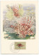 Mozambique Moçambique Portugal Afinsa 359 Used FDC On Maximum Card 1955 Poisson Fish - Fishes