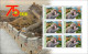 Delcampe - TOGO 2024 PACK 6 SHEET - CHINA 75TH ANNIVERSARY - QIN SHI HUANG - TURTLE TURTLES FROG FROGS MONKEY MONKEYS PANDA - MNH - Tortues