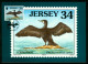 Mk Jersey Maximum Card 1999 MiNr 901 | Seabirds And Waders. Great Cormorant #max-0064 - Jersey