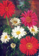 FIORI Vintage Cartolina CPSM #PBZ434.IT - Flowers