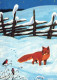 FOX Animale Vintage Cartolina CPSM #PBS785.IT - Altri & Non Classificati