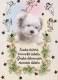 CANE Animale Vintage Cartolina CPSM #PBQ638.IT - Hunde