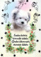 CANE Animale Vintage Cartolina CPSM #PBQ638.IT - Dogs