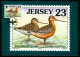 Mk Jersey Maximum Card 1999 MiNr 896 | Seabirds And Waders. Bar-tailed Godwit #max-0065 - Jersey