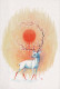 DEER Animals Vintage Postcard CPSM #PBS519.GB - Andere & Zonder Classificatie