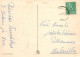 EASTER CHICKEN EGG Vintage Postcard CPSM #PBP035.GB - Pâques