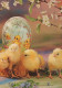 EASTER CHICKEN EGG Vintage Postcard CPSM #PBO844.GB - Pâques