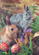 EASTER RABBIT EGG Vintage Postcard CPSM #PBO531.GB - Pâques