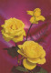 FLOWERS Vintage Postcard CPSM #PAS023.GB - Flowers