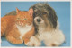 DOG AND CAT Animals Vintage Postcard CPSM #PAM037.GB - Hunde