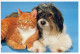 DOG AND CAT Animals Vintage Postcard CPSM #PAM037.GB - Chiens