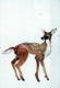 CERF Animaux Vintage Carte Postale CPSM #PBS521.FR - Andere & Zonder Classificatie