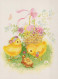 PÂQUES POULET ŒUF Vintage Carte Postale CPSM #PBO719.FR - Easter