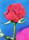 FLEURS Vintage Carte Postale CPSM #PAS325.FR - Flowers