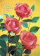 FLEURS Vintage Carte Postale CPSM #PAR724.FR - Flowers