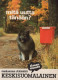 CHIEN Animaux Vintage Carte Postale CPSM #PAN606.FR - Hunde