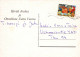 OISEAU Animaux Vintage Carte Postale CPSM #PAM917.FR - Birds