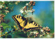 MARIPOSAS Vintage Tarjeta Postal CPSM #PBZ915.ES - Papillons