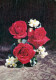 FLORES Vintage Tarjeta Postal CPSM #PBZ071.ES - Flowers