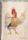 PÁJARO Animales Vintage Tarjeta Postal CPSM #PBR734.ES - Birds