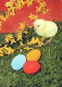 PASCUA POLLO HUEVO Vintage Tarjeta Postal CPSM #PBP159.ES - Easter