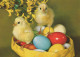 PASCUA POLLO HUEVO Vintage Tarjeta Postal CPSM #PBO907.ES - Easter