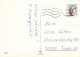 FLORES Vintage Tarjeta Postal CPSM #PAR963.ES - Flores