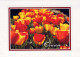 FLORES Vintage Tarjeta Postal CPSM #PAR122.ES - Flowers