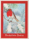 PÁJARO Animales Vintage Tarjeta Postal CPSM #PAN042.ES - Oiseaux