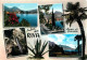 72936630 Riva Del Garda Panorama Gardasee Uferstrasse Kaktus Palme Riva Del Gard - Other & Unclassified