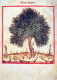 UMEN Vintage Ansichtskarte Postkarte CPSM #PBZ977.DE - Trees