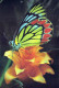 SCHMETTERLINGE Vintage Ansichtskarte Postkarte CPSM #PBZ917.DE - Butterflies