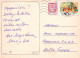 GEBÄREN Tier Vintage Ansichtskarte Postkarte CPSM #PBS210.DE - Beren