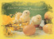 OSTERN HUHN EI Vintage Ansichtskarte Postkarte CPSM #PBP222.DE - Easter