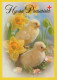 OSTERN HUHN EI Vintage Ansichtskarte Postkarte CPSM #PBO660.DE - Easter