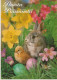 OSTERN KANINCHEN EI Vintage Ansichtskarte Postkarte CPSM #PBO407.DE - Easter