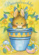 OSTERN KANINCHEN EI Vintage Ansichtskarte Postkarte CPSM #PBO469.DE - Easter